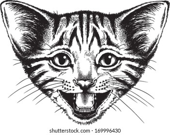 Vector sketch of a small kitten meowing