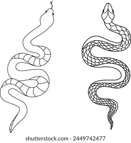 vector sketch of a snake with scales