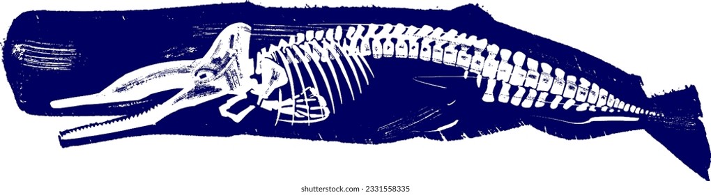 vector sketch of a sperm whale