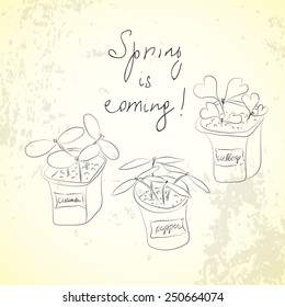 Vector sketch spring gardening set with cucumber, pepper and cabbage sprouts in pots for eco background, cover design vintage grunge style