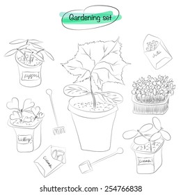 Vector sketch spring gardening set with cucumber, pepper and cabbage sprouts in pots, cress and seeds, mini rake and shovel
