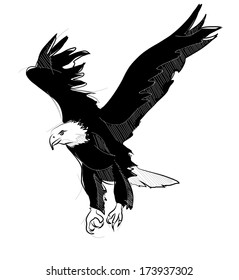  vector sketch style drawing of flying bald eagle