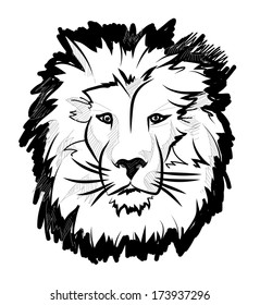  vector sketch style drawing of male lion face 