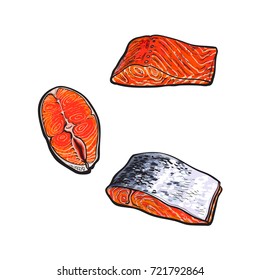 vector sketch style sea red salmon fish meat fillet steak with, without skin from top side view set. Isolated illustration on a white background. Seafood delicacy, restaurant menu decoration object