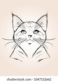 Vector sketch of a stylized kitten's face. Sketch illustration .