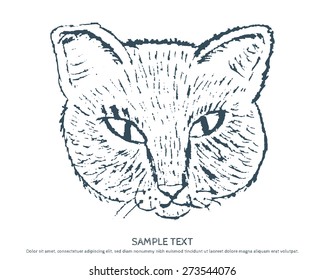 Vector sketch of a stylized kitten's face