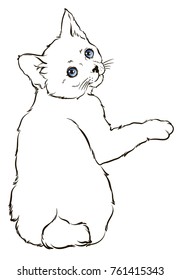 Vector sketch of a stylized kitten's face