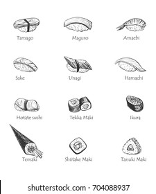 Vector sketch of sushi on white background. Different kinds of rolls with names