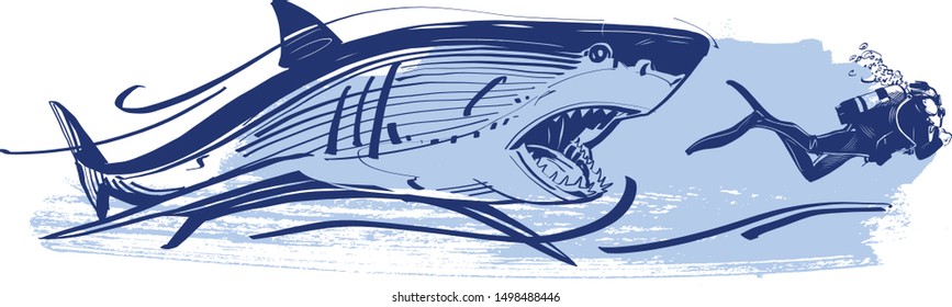 the vector sketch of the swimmer and shark on background 
