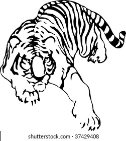 The vector sketch of a tattoo of tiger