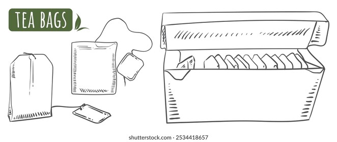 Vector sketch of tea bag and tea box on white background. Tea set. Healthy drink, lifestyle concept.
