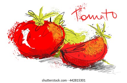 Ilustração de tomate esboço vetorial - fatia de tomate e salada