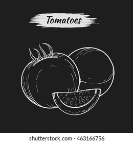 Vector sketch of tomatoes isolated on dark background. Line silhouette handmade.