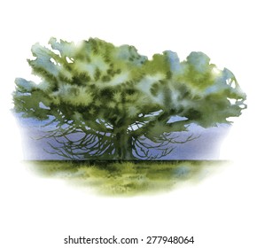 Vector sketch of tree landscape