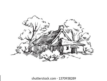 Vector sketch of trees and plants. Hand drawn vector landscape.