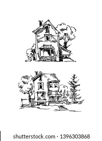 Vector sketch of trees and plants. Hand drawn vector landscape.