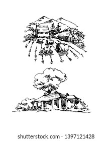 Vector sketch of trees and plants. Hand drawn vector landscape.