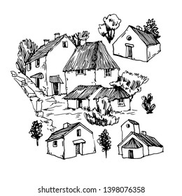 Vector sketch of trees and plants. Hand drawn vector landscape.