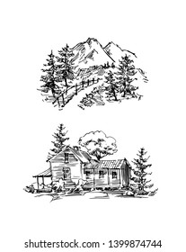 Vector sketch of trees and plants. Hand drawn vector landscape.