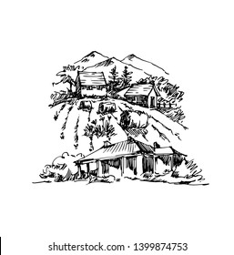 Vector sketch of trees and plants. Hand drawn vector landscape.