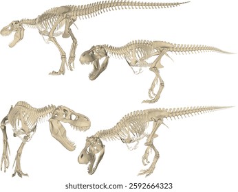 vector sketch of trex dinosaur bone fossil design for display in a museum