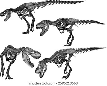 vector sketch of trex dinosaur bone fossil design for display in a museum