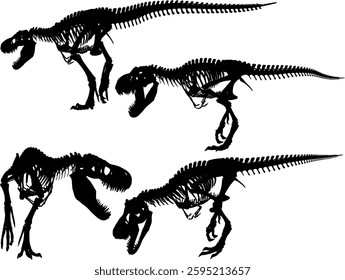 vector sketch of trex dinosaur bone fossil design for display in a museum