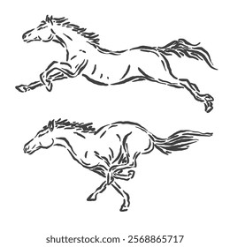 vector sketch of two galloping horse poses with unique and vintage strokes but very brave