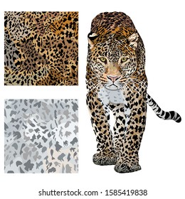 Vector sketch of walks leopard.Seamless leo pattern.Animal skin texture print.