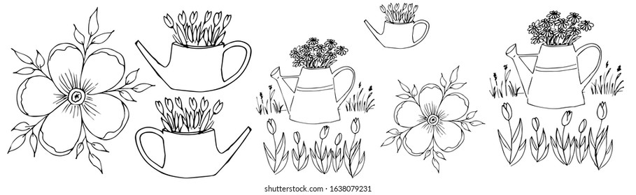 Vector sketch of a watering can with flowers, and a five-leaf flower. Spring drawing.