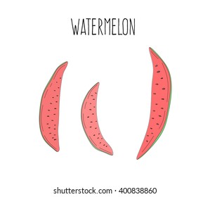 Vector sketch watermelon illustration. 