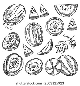 Vector sketch of watermelon. Set of sliced watermelon, whole fruit cut in half, rind and seeds. Sweet red fruits. Vector illustration