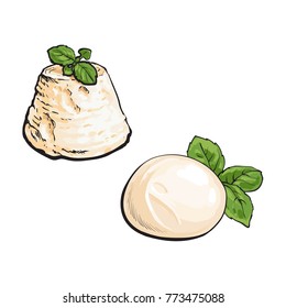 vector sketch wedge of soft blue cheese with mold and italian fresh buffalo mozzarella with basil leaf set for your design. Isolated illustration on a white background.