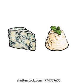 vector sketch wedge of soft blue cheese with mold and italian ricotta with basil leaf set for your design. Isolated illustration on a white background.