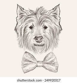 Vector sketch west highland terrier with bow tie. Hand drawn illstration. 