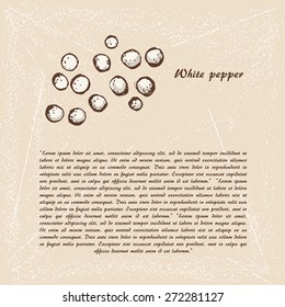 Vector sketch of white pepper