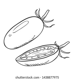 Vector Sketch Whole and Half Cut Cherry Tomato