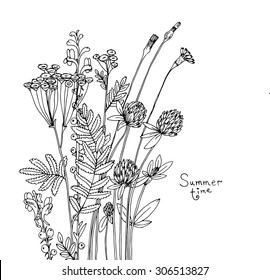  Vector sketch of the wildflowers.