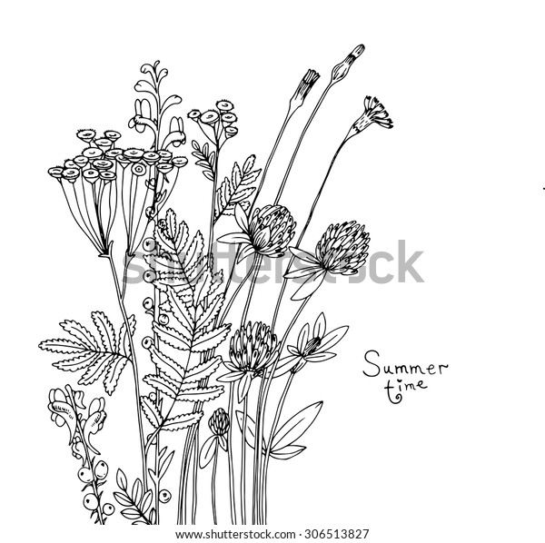 Vector Sketch Wildflowers Stock Vector (Royalty Free) 306513827