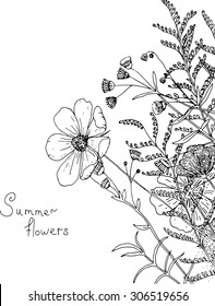 Vector sketch of wildflowers on a white background 

