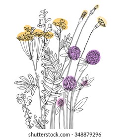Vektorgrafik der Wildblumen auf weißem Hintergrund.