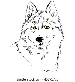 vector sketch of wolf