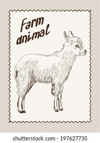 vector sketch of a yeanling made by hand