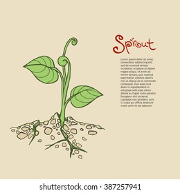 Vector sketch of young seedling, makes his way through the rocky ground or asphalt. Eps-8.