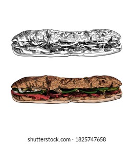 Vector Sketched Drawings, Long Sub Sandwich, Colored Illustration and Outline, Fast Food Illustration Isolated on White Background, Detailed Hand Drawn Food.