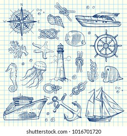 Vector sketched sea elements of set on notebook cell sheet illustration