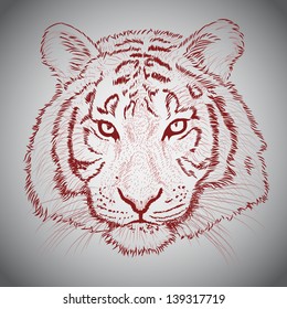 Vector sketched tiger face