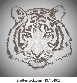 Vector sketched tiger face, half tone elements