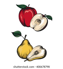 vector sketches of apple and pear isolated on a white background 