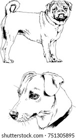 vector sketches of different breeds of dogs drawn in ink by hand with no background, selected objects